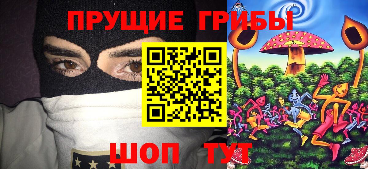 Псилоцибиновые грибы GOLDEN TEACHER Богородицк